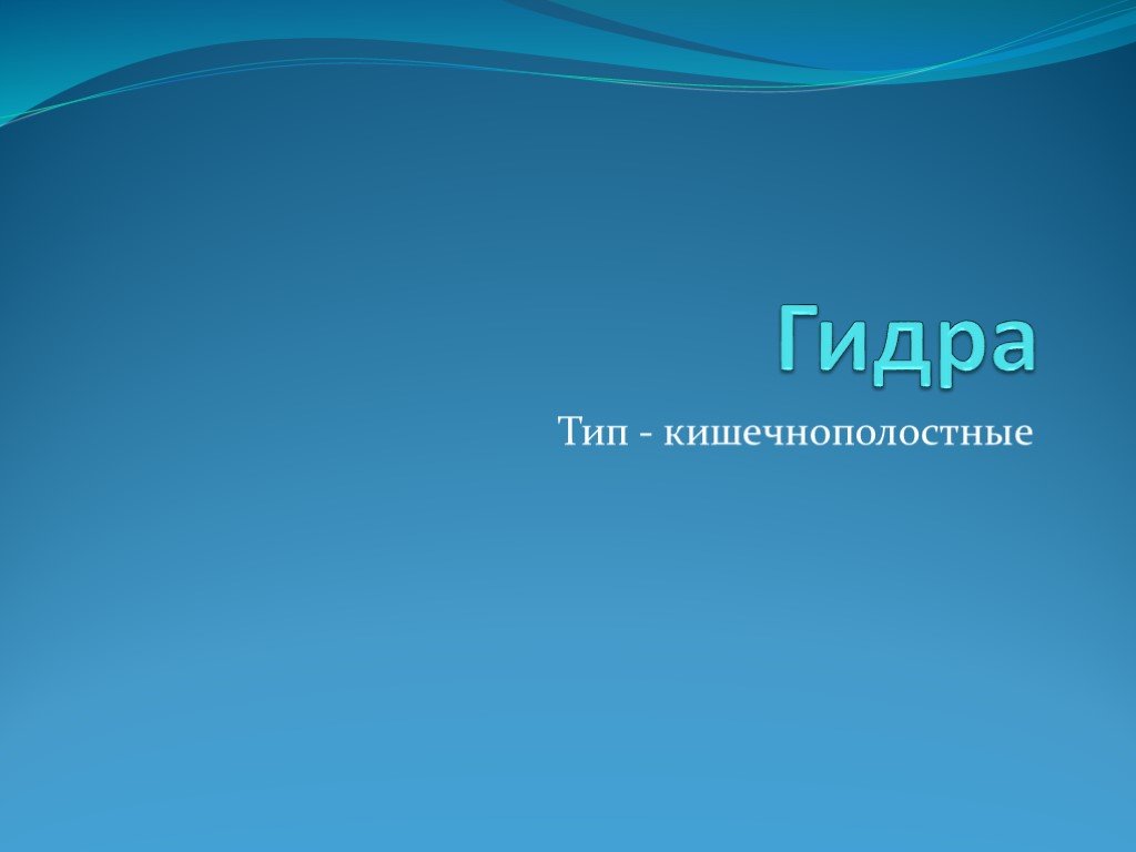 Кракен актуальная ссылка тор