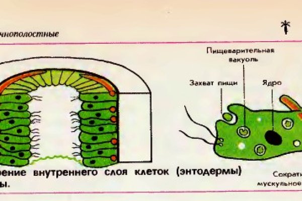 Кракен маркет только через тор скачать