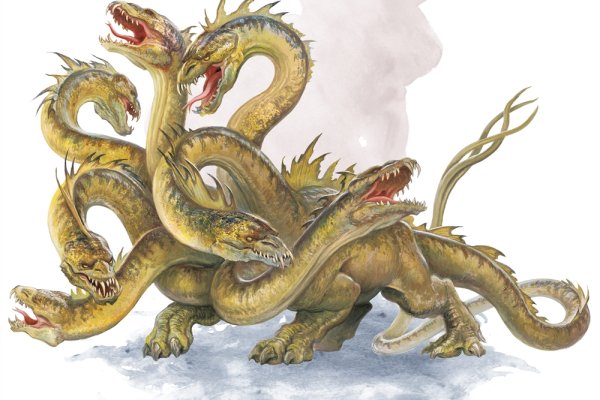 Kraken19at