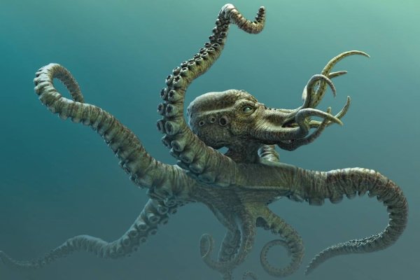Kraken ссылка зеркало рабочее