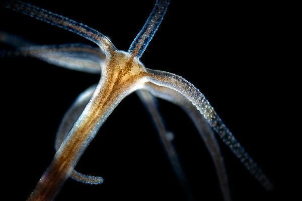 Как зайти на kraken маркетплейс