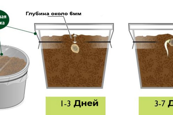 Сайт кракен через тор