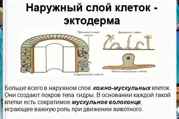 Kraken mirror