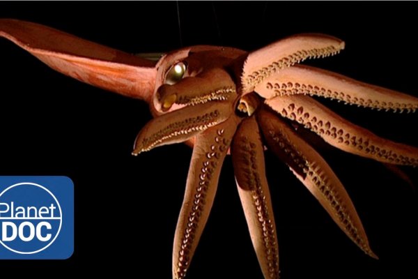 Kraken сайт tor
